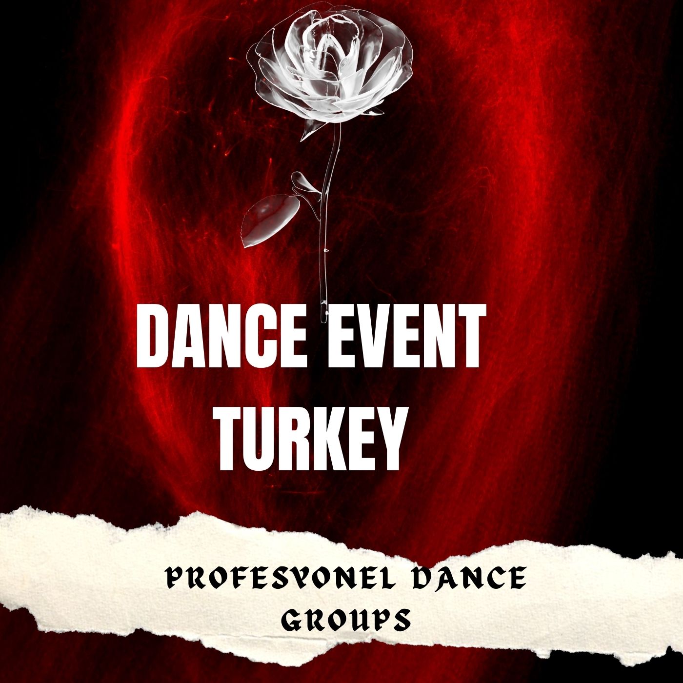 Luxury hotel entertainment shows